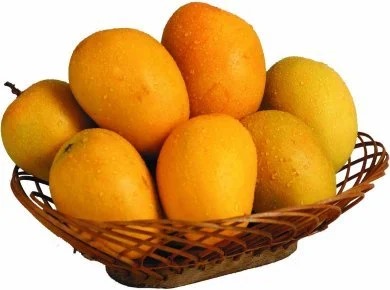 देवगडचा कातळ आणि हापूस