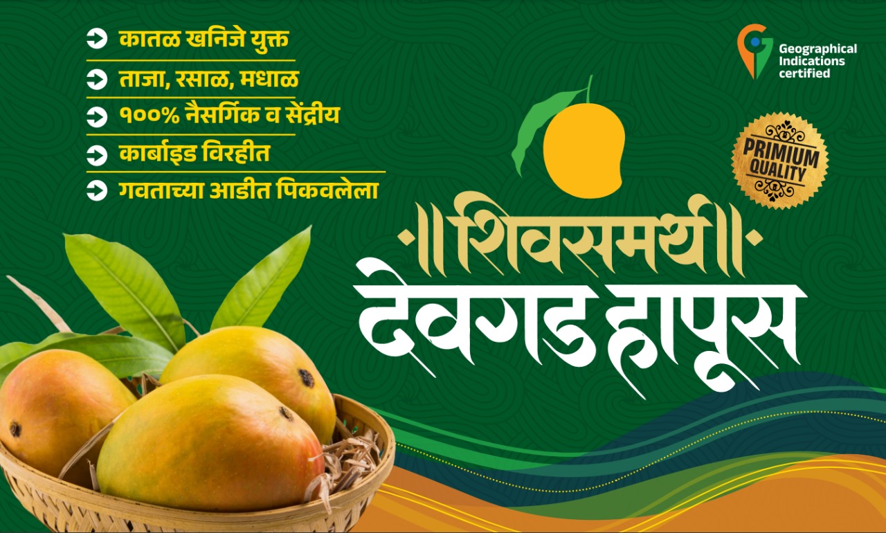 देवगड हापूसची बाग